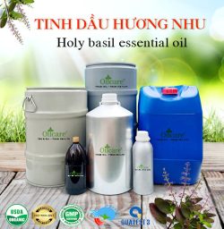 Tinh dầu hương nhu holybasil oil bán sỉ lít kg buôn giá rẻ mua ở đâu