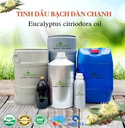 Tinh dầu bạch đàn chanh eucalyptus citriodora oil bán sỉ buôn lít giá rẻ mua ở đâu