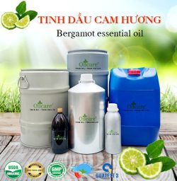 Tinh dầu cam hương bergamot oil bán sỉ lít buôn kg giá rẻ mua ở đâu