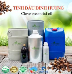 Tinh dầu đinh hương clove oil bán sỉ buôn lít kg giá rẻ mua ở đâu