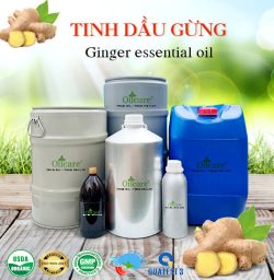 Tinh dầu gừng ginger oil bán sỉ kg lít buôn giá rẻ mua ở đâu