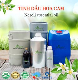 Tinh dầu hoa cam neroli oil bán sỉ lít kg buôn giá rẻ mua ở đâu