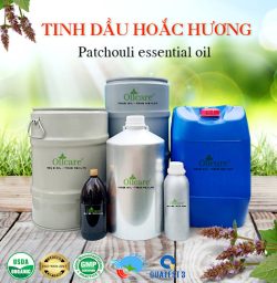 Tinh dầu hoắc hương patchouli oil bán sỉ kg lít buôn giá rẻ mua ở đâu