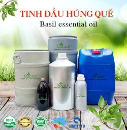 Tinh dầu húng quế basil oil bán sỉ lít kg buôn giá rẻ mua ở đâu