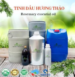 Tinh dầu hương thảo rosemary oil bán sỉ kg lít buôn giá rẻ mua ở đâu