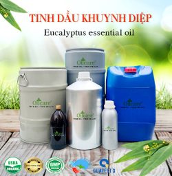 Tinh dầu khuynh diệp 80% bạch đàn eucalyptus oil bán sỉ buôn kg lít giá rẻ mua ở đâu