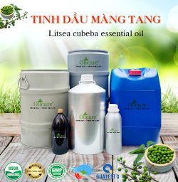 Tinh dầu màng tang litsea cubeba oil bán sỉ lít kg buôn giá rẻ mua ở đâu