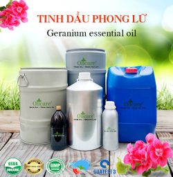 Tinh dầu phong lữ geranium oil bán sỉ buôn lít kg giá rẻ mua ở đâu