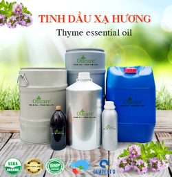 Tinh dầu xạ hương thyme oil bán giá sỉ buôn kg lít rẻ mua ở đâu