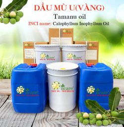 Dầu mù u tamanu oil bán sỉ lít kg buôn giá rẻ mua ở đâu