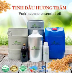 Tinh dầu hương trầm frankincense oil bán sỉ lít kg buôn giá rẻ mua ở đâu