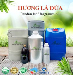 Tinh dầu lá dứa pandan leaf oil bán sỉ kg lít buôn rẻ mua ở đâu