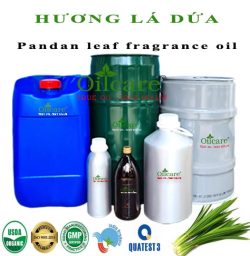 Tinh dầu lá dứa pandan leaf oil bán sỉ kg lít buôn rẻ mua ở đâu