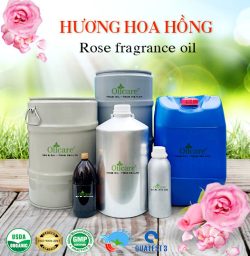 Hương hoa hồng rose oil bán sỉ kg lít buôn giá rẻ mua ở đâu