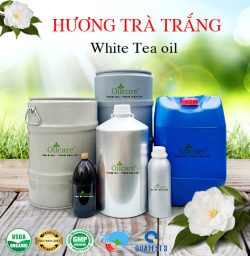 Tinh dầu trà trắng white tea oil bán sỉ kg lít buôn giá rẻ mua ở đâu