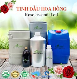 Tinh dầu hoa hồng rose essential oil bán kg sỉ lít buôn mua ở đâu