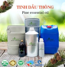 Tinh dầu thông pine oil bán sỉ lít kg buôn rẻ mua ở đâu