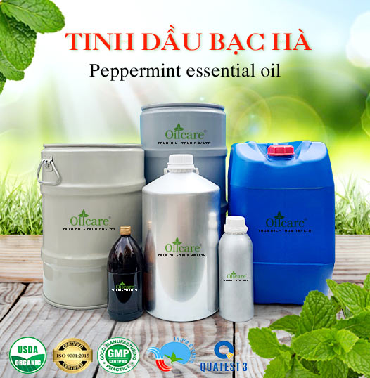 Tinh dầu bạc hà peppermint bán sỉ lít kg buôn giá rẻ mua ở đâu