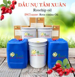 Dầu nụ tầm xuân nguyên chất bán sỉ buôn lít giá rẻ