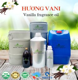 Tinh dầu vanilla oil bán sỉ buôn lít kg giá rẻ mua ở đâu