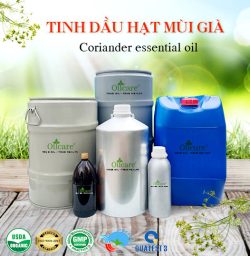 Tinh dầu hạt mùi già coriander oil bán buôn lít sỉ kg giá rẻ mua ở đâu