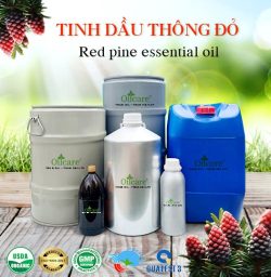 Tinh dầu thông đỏ red pine oil bán sỉ buôn kg lít rẻ mua ở đâu