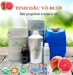 Tinh dầu bưởi hồng grapefruit oil bán sỉ kg lít buôn giá rẻ mua ở đâu