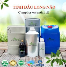 Tinh dầu long não camphor oil bán sỉ kg buôn lít giá rẻ mua ở đâu