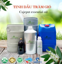 Tinh dầu tràm gió Cajeput bán sỉ kg lít buôn giá rẻ mua ở đâu