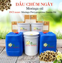 Dầu chùm ngây moringa seed oil bán sỉ lít kg buôn tại đà nẵng