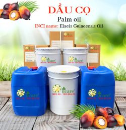 Dầu cọ Palm oil giá rẻ mua ở đâu