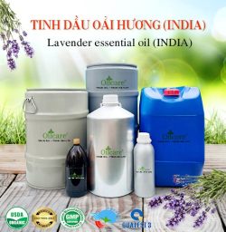 Tinh dầu oải hương lavender oil bán sỉ lít kg buôn giá rẻ mua ở đâu