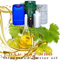 Dầu hạt nho grapeseed oil bán sỉ lít buôn kg giá rẻ mua ở đâu