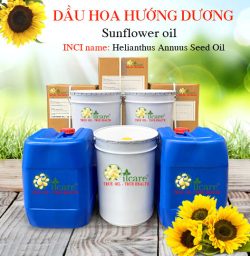 Dầu hướng dương sunflower oil bán sỉ lít kg buôn giá rẻ mua ở đâu