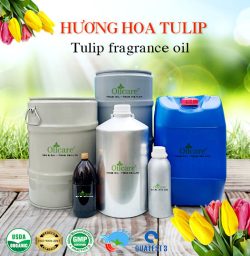 Tinh dầu hoa tulip oil flower bán sỉ lít kg buôn giá rẻ mua ở đâu