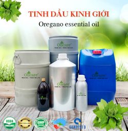 Tinh dầu kinh giới oregano oil bán sỉ lít kg buôn giá rẻ mua ở đâu