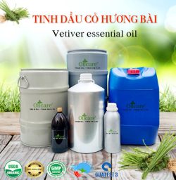 Tinh dầu cỏ hương bài vetiver oil bán sỉ kg lít buôn giá rẻ mua ở đâu