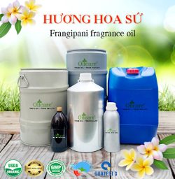 Tinh dầu hoa sứ frangipani oil bán lít sỉ buôn kg giá rẻ