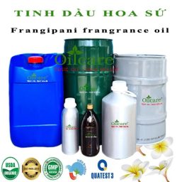 Tinh dầu hoa sứ frangipani oil bán lít sỉ buôn kg giá rẻ