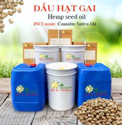 Dầu hạt gai hemp seed bán sỉ lít kg buôn mua ở đâu