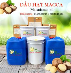 Dầu hạt macca bán sỉ lít kg buôn giá rẻ mua ở đâu