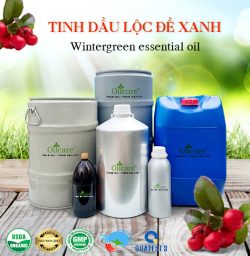 Tinh dầu lộc đề xanh wintergreen oil bán sỉ lít kg buôn giá rẻ mua ở đâu