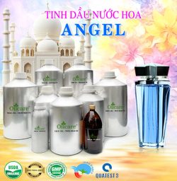 Tinh dầu nước hoa “GỐC” Angel bán sỉ buôn lít kg rẻ