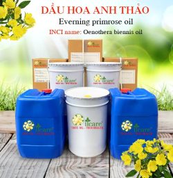 Dầu hoa anh thảo evening primrose oil giá sỉ rẻ bán buôn lít kg mua ở đâu