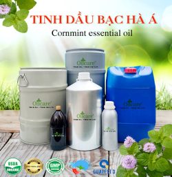 Tinh dầu bạc hà á cornmint bán sỉ lít kg buôn giá rẻ mua ở đâu