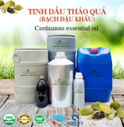 Tinh dầu thảo quả cardamom bạch đậu khấu bán sỉ lít kg buôn giá rẻ mua ở đâu