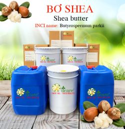 Bơ shea butter bán sỉ kg buôn rẻ mua ở đâu