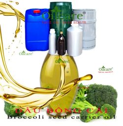 Dầu bông cải xanh broccoli seed oil bán sỉ lít kg buôn giá rẻ mua ở đâu