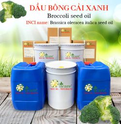 Dầu bông cải xanh broccoli seed oil bán sỉ lít kg buôn giá rẻ mua ở đâu