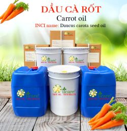 Dầu cà rốt carrot base oil bán sỉ lít kg buôn giá rẻ